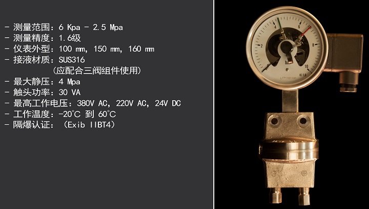 出口型-就地顯示/不銹鋼膜片式差壓表YCX-100